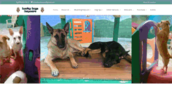 Desktop Screenshot of luckydogsdaycare.com